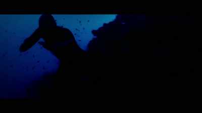 I just tried to follow the reef, - The Deepest Breath