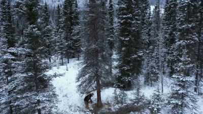 I just wanna have
a safe afternoon - Life Below Zero: Next Generation