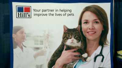 I just wanted to let you know - Pet Fooled