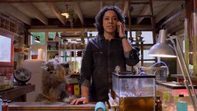 I just wanted to let you know that
I am a PhD candidate, - Fraggle Rock: Back to the Rock