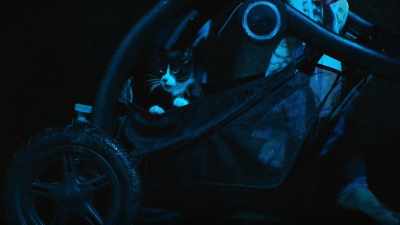 I just wish I had someone to play with. - Scaredy Cats