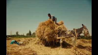 I keep a donkey
because it can pull the cart. - Return to Dust