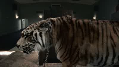 I killed him. - The Walking Dead