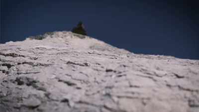 - I knew from my experience
with Bigfoot that they live, - Secrets of the Sasquatch