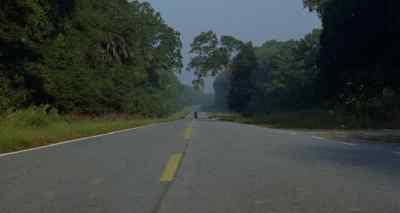'I knew I was going to hell
in a bread basket. - The Loveless