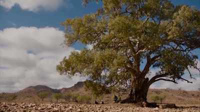 I knew I was in a dark place, - The Australian Dream
