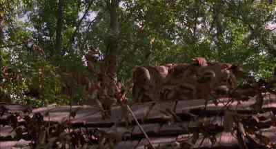 I knew if I stuck around
I'd be dead. - The Adventures of Huck Finn