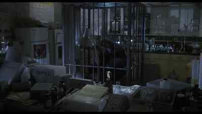 - I knew I'd found a friend. - The Incredible Shrinking Woman