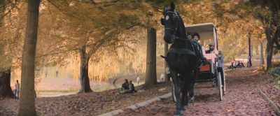 I knew in my heart I would find her. - Black Beauty