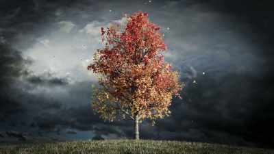 I knew intuitively that it
was time to pay attention. - Is Mindfulness Right for You?