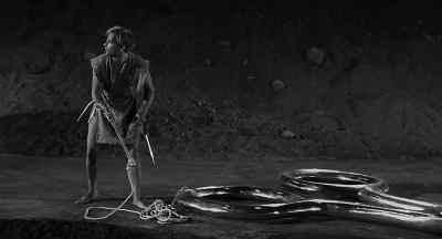 I knew, sooner or later,
it would come charging down that web... - The Incredible Shrinking Man