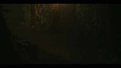 I knew the park well myself, - Interview with the Vampire