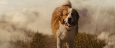 I knew this to be true - A Dog's Journey