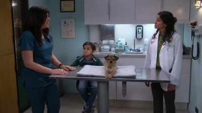 I knew she wasn't a puppy, - Lopez vs Lopez