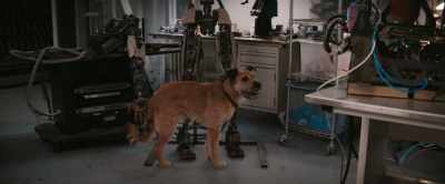 I know 16,000 interesting facts about-- - Finch
