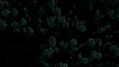 I know a born leader when I hear one. - Dominion