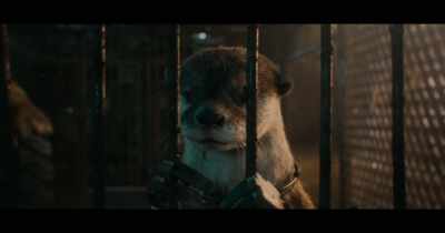 I know.
And if we can get to one, - Guardians of the Galaxy Vol. 3