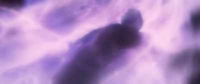 I know you can hear me,
Joe. - Higher Power