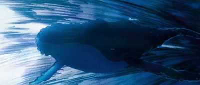 I know everything
Sora is feeling - Children of the Sea
