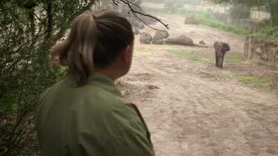 I know. Good girl. Just keep running
Look! - Magic of Disney's Animal Kingdom