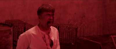I know how to get you to talk! - Kavaludaari