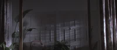 Leigh? What? Leigh. I know how the dog died. Sam, are you dreaming? No. No. I just had the weirdest - Cape Fear