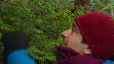 I know that huckleberry
grows in this area, - Chefs vs Wild