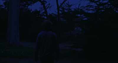 I know I left a pack
in the shed. - Down Below