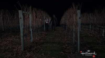 I know it is, but we're doing
the best that we can, - Valentine in the Vineyard