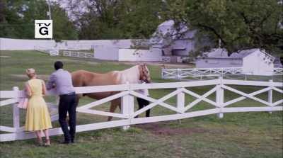 - I know this isgonna sound crazy, - Wedding at Graceland