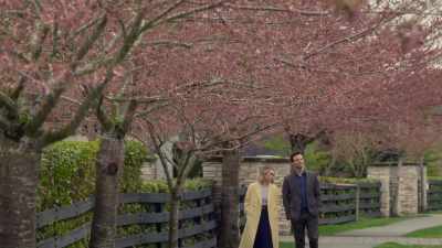 -I know it’s the suburbs
and a commute, - The Wedding Contract