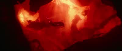 I know it's a rough ride... - Star Wars: The Rise of Skywalker