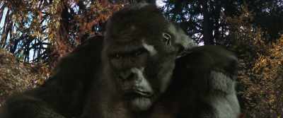 I know, it's sad. - Ape vs. Mecha Ape
