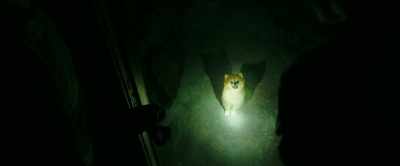 I know your moves you little bitch - It Chapter Two