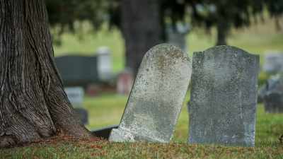 I KNOW PEOPLE SAY
HE DID IT TO HIMSELF, - Evil Lives Here: Shadows Of Death