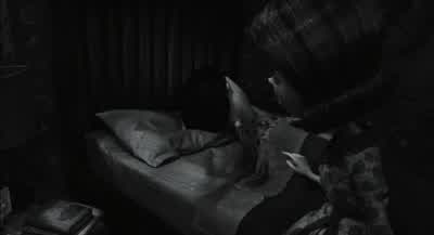 I know. - Frankenweenie