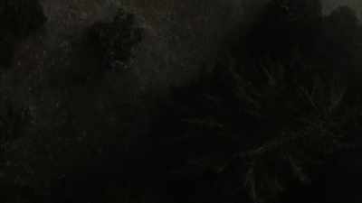 I know that this hillside
will eventually peak out, - Expedition Bigfoot