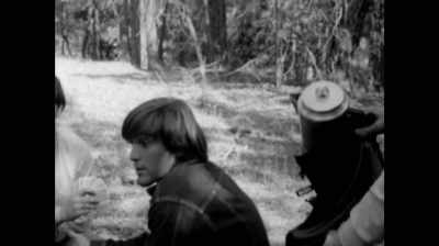 ♪ I know there's an answer - The Beach Boys: Making Pet Sounds