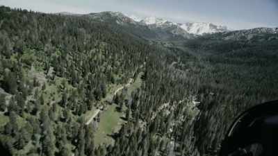 I know they had two horses
and a mule. - Missing 411: The Hunted