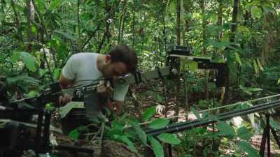 I know we're making a series
about plants, - The Green Planet