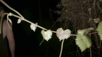 I know we're running
into trouble. - Into the Forest