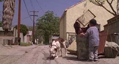 I know what you're thinking,
Miss Campbell. - The Little Rascals
