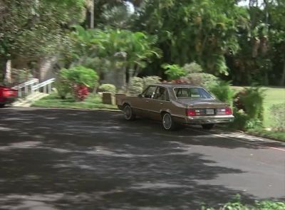 I know what you're thinking - Magnum, P.I.