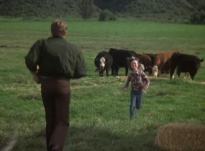 I know what you're thinking and you're right - Magnum, P.I.