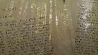 I, knowing this, feel I must
wherever and whenever I can, - Jews of the Wild West