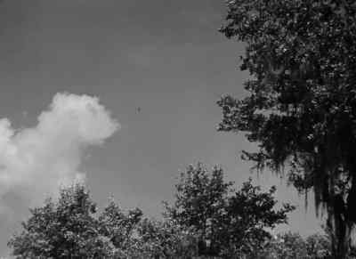 I _L "f; V. .: .,". - Objective, Burma!