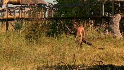     Last night was a little bit
          more difficult. - Naked and Afraid