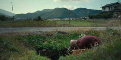 I learned how vegetables grow,
how they're harvested. - Chef's Table: Pizza