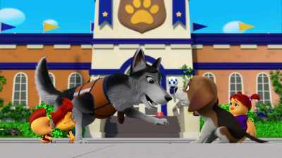 I learned that some dogs, - The Chicken Squad