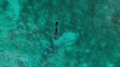 I learned swimming
and snorkelling - A Year on Planet Earth